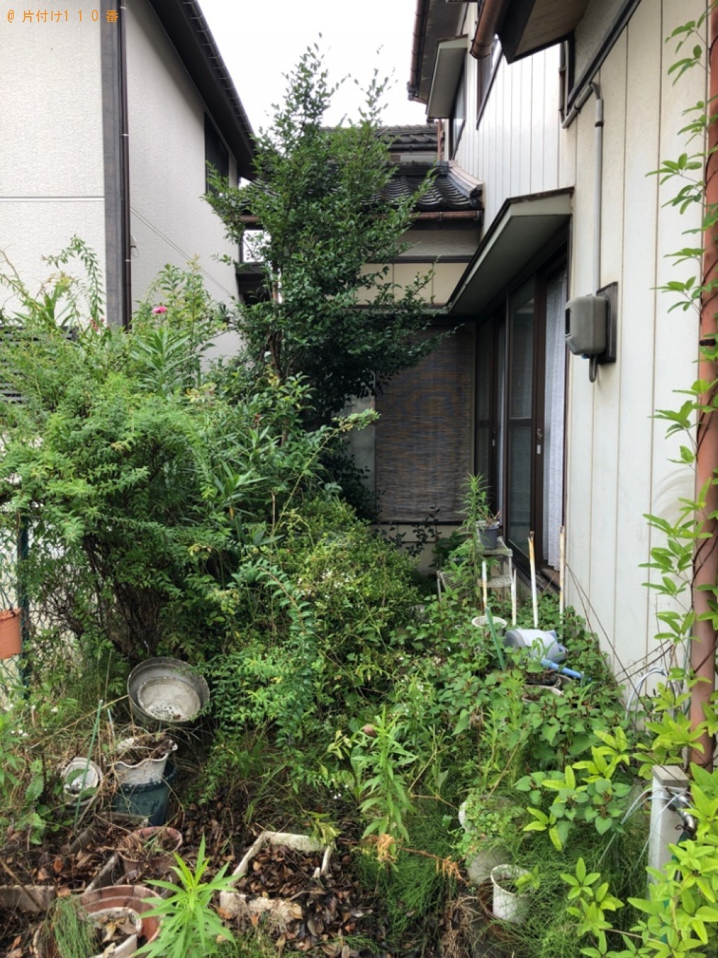 庭木伐採・回収・処分ご依頼　お客様の声